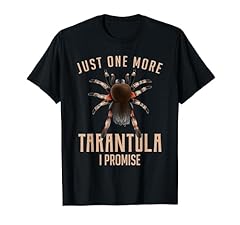 One tarantula promise for sale  Delivered anywhere in UK