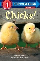 Chicks for sale  Delivered anywhere in USA 