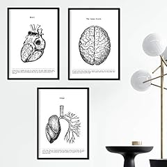 Nacnic set poster usato  Spedito ovunque in Italia 