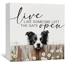 Nitelat live like for sale  Delivered anywhere in USA 