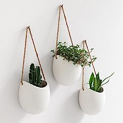 Kazai. wall planters for sale  Delivered anywhere in UK
