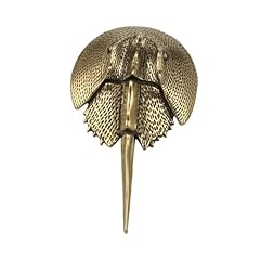 Horseshoe crab sea for sale  Delivered anywhere in USA 