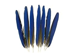 Moonlight feather tails for sale  Delivered anywhere in USA 