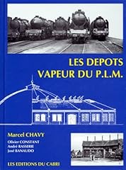 Dépôts vapeur plm d'occasion  Livré partout en France