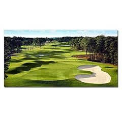 Qbqt golf course for sale  Delivered anywhere in USA 