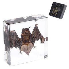 1st heaven real for sale  Delivered anywhere in USA 