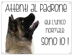 Cartello cane akita usato  Spedito ovunque in Italia 