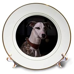 3drose portrait whippet for sale  Delivered anywhere in USA 