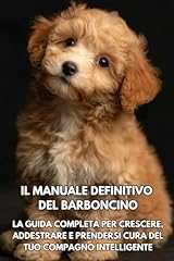 Manuale definitivo del usato  Spedito ovunque in Italia 