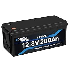 Economipower lifepo4 lithium gebraucht kaufen  Wird an jeden Ort in Deutschland