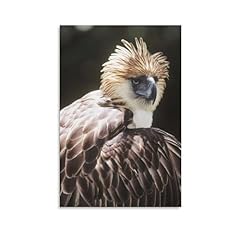 Great philippine eagle for sale  Delivered anywhere in USA 