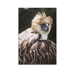 Great philippine eagle for sale  Delivered anywhere in USA 