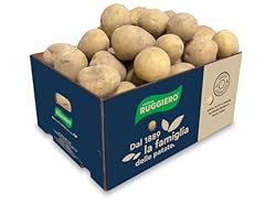 Patate ruggiero montagna usato  Spedito ovunque in Italia 