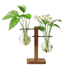 Glass planter bulb for sale  Delivered anywhere in USA 