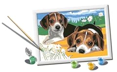 Ravensburger creart serie usato  Spedito ovunque in Italia 