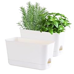 Oliz herb garden for sale  Delivered anywhere in USA 