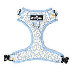 Lucy co. simply for sale  Delivered anywhere in USA 