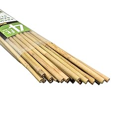 Mininfa natural bamboo for sale  Delivered anywhere in USA 
