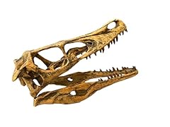 Velociraptor skull replica for sale  Delivered anywhere in USA 