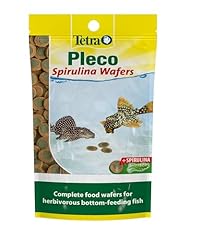 Tetra pleco fish for sale  Delivered anywhere in UK