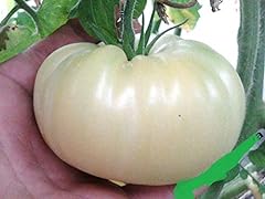 Giant white tomato for sale  Delivered anywhere in USA 