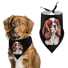 Cavalier king charle d'occasion  Livré partout en Belgiqu