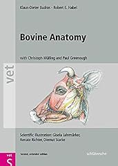 Bovine anatomy illustrated d'occasion  Livré partout en Belgiqu