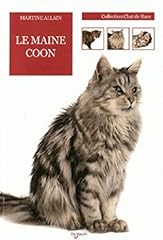 Chat maine coon d'occasion  Livré partout en France