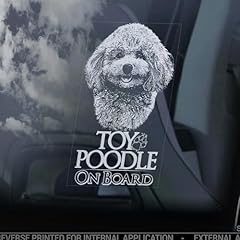 Lmmixee toy poodle for sale  Delivered anywhere in UK