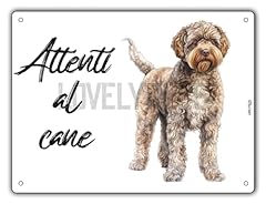 Cartello attenti cane usato  Spedito ovunque in Italia 