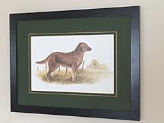 Framed mounted golden for sale  Delivered anywhere in UK