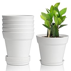 T4u 12.5cm vaso usato  Spedito ovunque in Italia 