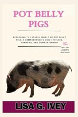 Pot belly pigs for sale  Delivered anywhere in UK