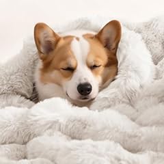 Coperta per cani usato  Spedito ovunque in Italia 