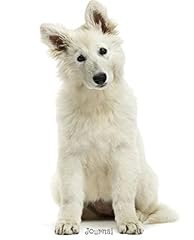 Journal swiss shepherd for sale  Delivered anywhere in UK