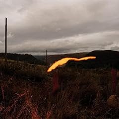 The foel tower gebraucht kaufen  Wird an jeden Ort in Deutschland