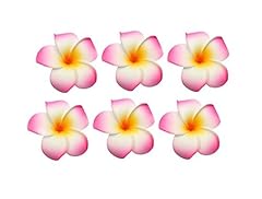 12pcs women girls for sale  Delivered anywhere in USA 