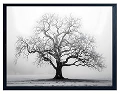 Artzio black white for sale  Delivered anywhere in USA 