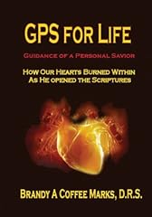 Gps life guidance for sale  Delivered anywhere in UK