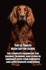 Ultimate irish setter for sale  Delivered anywhere in UK