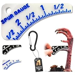 Wild turkey spur for sale  Delivered anywhere in USA 