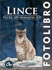 Lince fotolibro usato  Spedito ovunque in Italia 