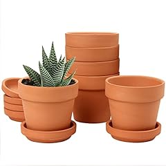 Oairse 6pcs terracotta for sale  Delivered anywhere in UK