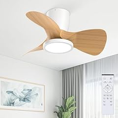 Ateroll ventilatore soffitto usato  Spedito ovunque in Italia 