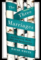 Three marriages reimagining for sale  Delivered anywhere in USA 