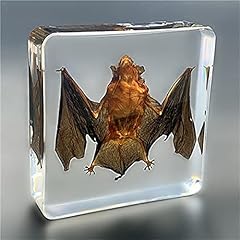 Pluy taxidermy resin for sale  Delivered anywhere in UK