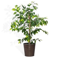 4ft artificial ficus for sale  Delivered anywhere in USA 