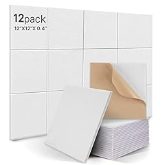 12pcs acoustic absorption for sale  Delivered anywhere in UK