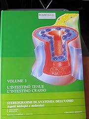Intestino tenue intestino usato  Spedito ovunque in Italia 
