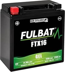 Batterie autoportée ftx d'occasion  Livré partout en Belgiqu